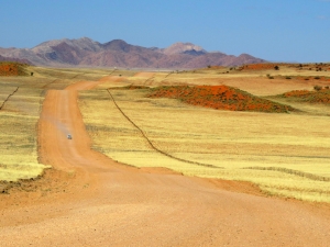 Namibia            